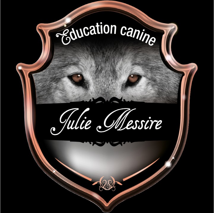 Education canine Julie Messire